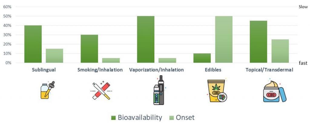 Bioavilability and Onset of CBD 2