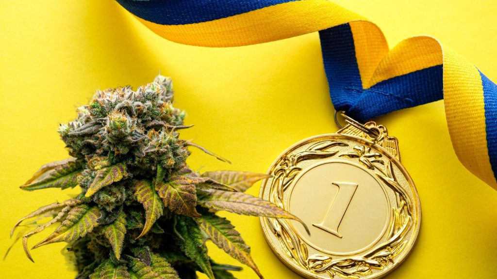 Hemp Flower CBD Source Number 1 Gold Medal