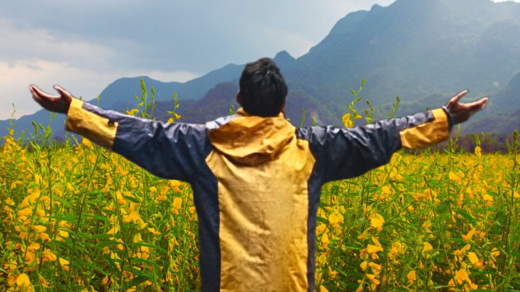 Satasfied Man in field of hemp flowers